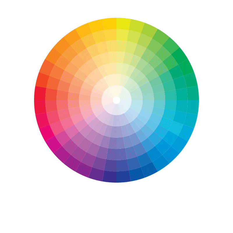 Ellipse Pantone Matched Shells Ellipse Pantone Matched Shells